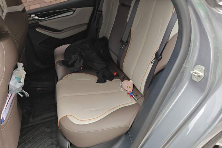 Used BYD Qin PLUS 2023 Champion Edition DM-i 120KM Leading Model Left Rear Seat