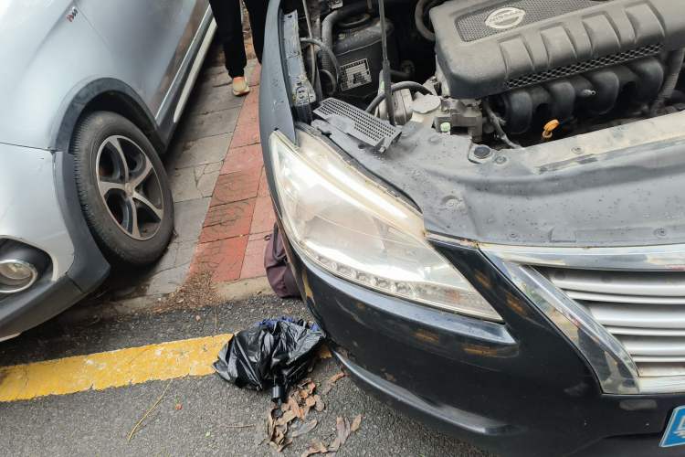 Used Nissan Sylphy 2012 1.6 XL CVT Luxury Edition