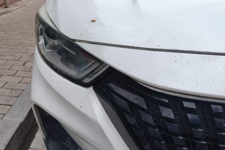 Used CHANGAN OSHAN COSPro 2021 1.5T Manual Elite 7-Seater
