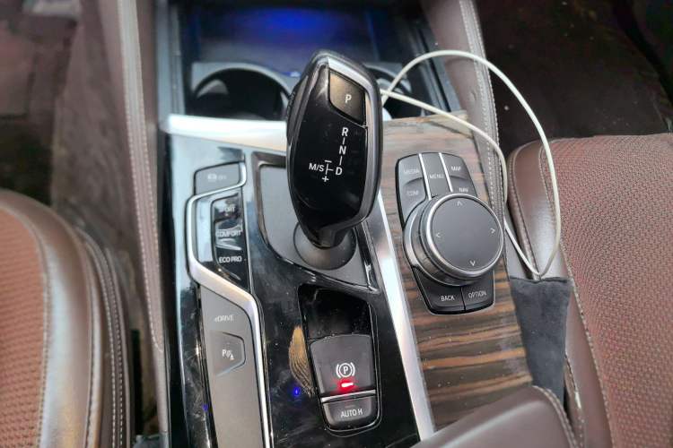 Used BMW 5 Series New Energy 2020 530Le Luxury Package
