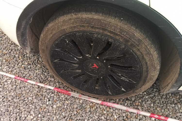 Used Tesla Model Y 2021 Long-Range All-Wheel-Drive Version 3D7 Exterior 5