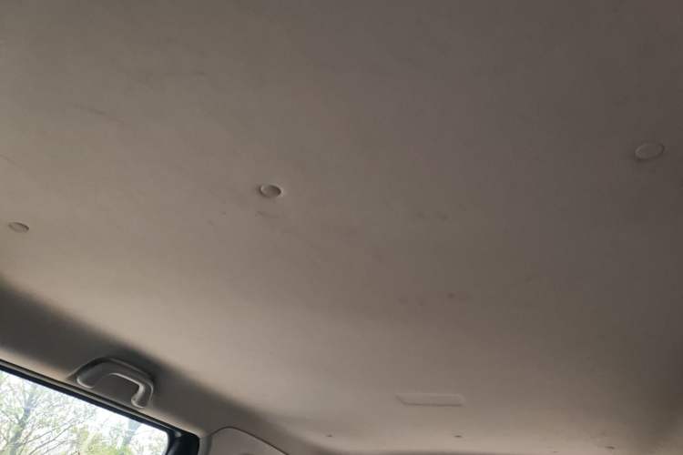 Used CHANGAN OSHAN A600EV 2021 EV model Headliner