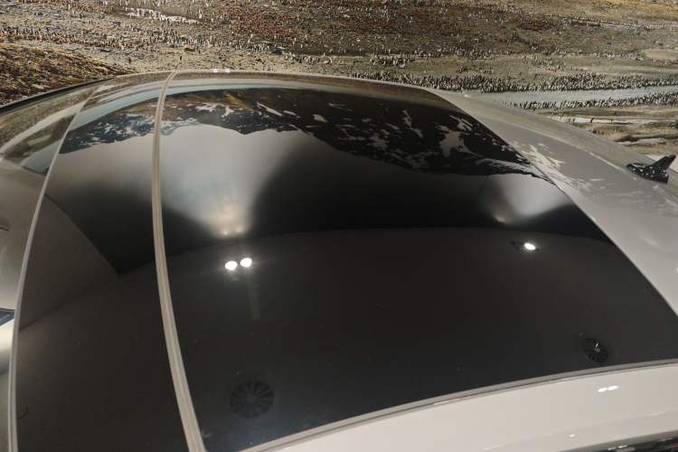 Used Audi RS 5 2024 RS 5 2.9T Sportback Performance Edition