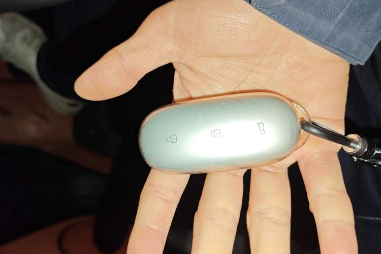 Used Li Auto L8 2023 Max model Interior 1