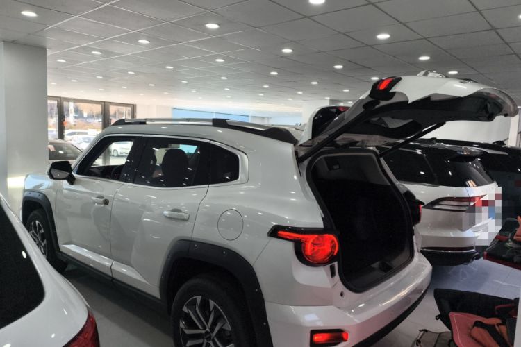 Used Haval H Dog 2023 2.0T Two-Wheel Drive Chaoye Version Plus