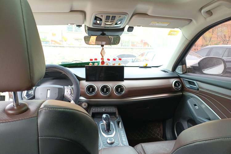 Used Wey VV6 2020 2.0T Two-Wheel Drive Smart Protection+ Headliner