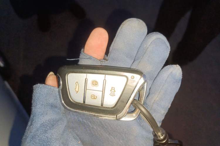 Used JAC Group iEVA50 2018 Luxury Smart Edition
