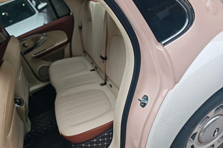 Used ORA Ballet Cat 2023 401 km Luxury Version Left Rear Seat