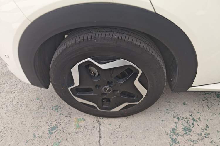 Used BYD Dolphin 2025 Smart Drive Version 420 km Freedom Edition Exterior 5