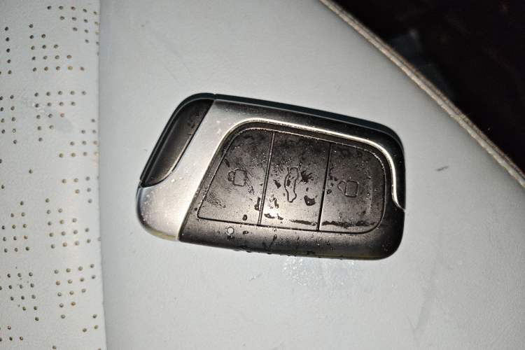 Used Chery Little Ant 2023 251km True Love Edition Lithium Iron Phosphate