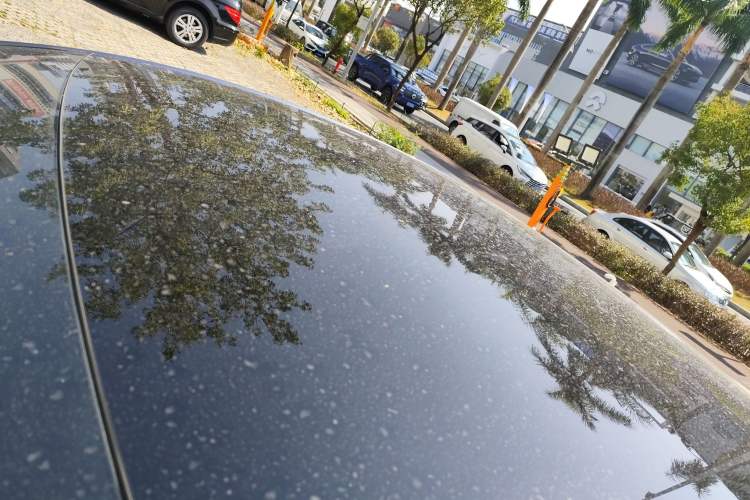 Used BYD Seal 2023 Champion Edition 700km Performance Version
