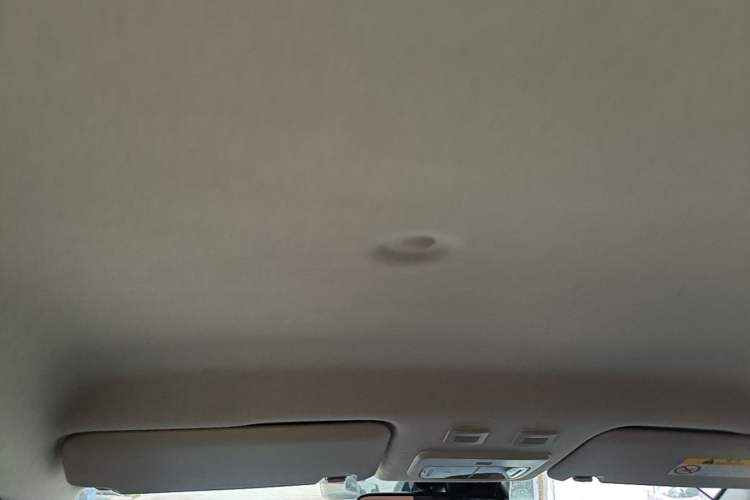 Used ORA Black Cat 2019 351 km Goddess Edition