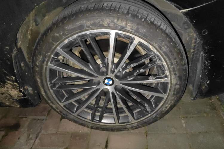 Used BMW 5 Series 2021 530Li Leading Model M Sport Package