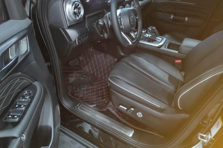 Used Tank 300 2024 2.0T Conqueror
