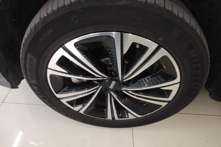 Used Wey Latte DHT 2022 1.5T DHT Extra-Large Cup
