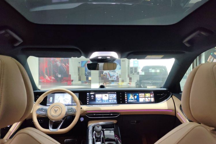 Used VOYAH FREE 2021 Four-Wheel Drive Standard Range-Extended Exclusive Luxury Package Headliner