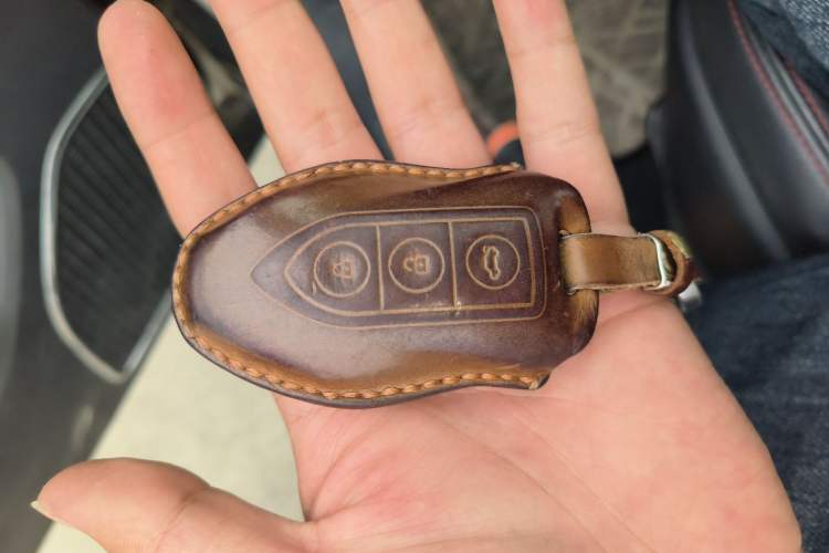 Used Leopaard CS10 2017 2.0T Automatic Urban Version