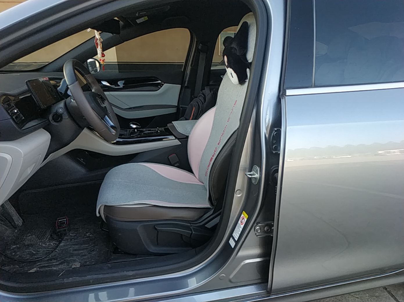 BYD Qin PLUS 2023 Champion Edition DM-i 55KM Leading Model — снимка 17