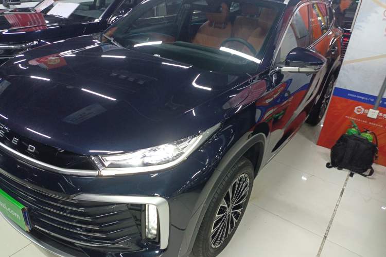 Used EXEED Lingyun 2025 300T Two-Wheel Drive Starry Edition