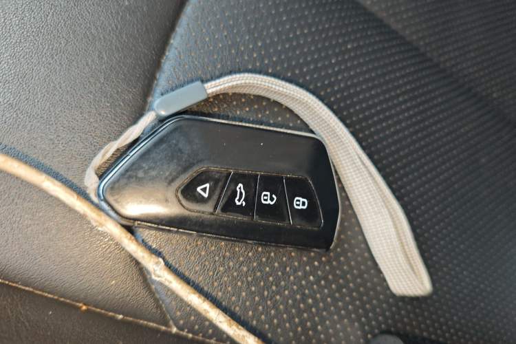 Used NETA V 2021 Long-Range Entertainment Edition Upgrade Model