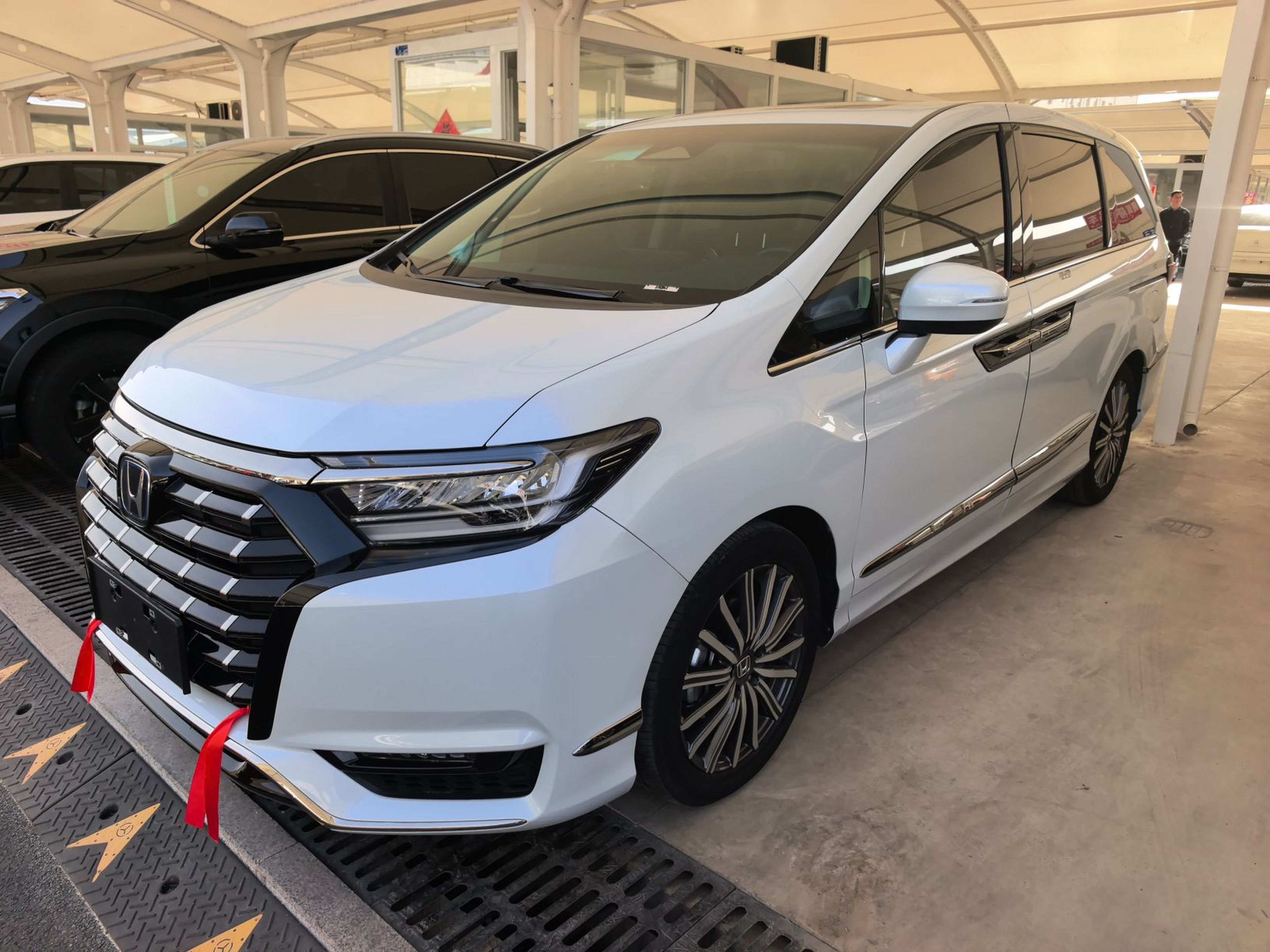 Parte inferior delantera