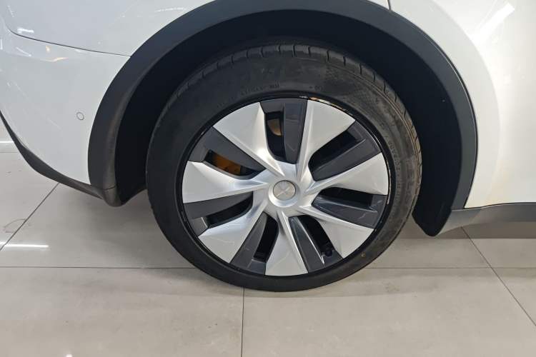 Used Tesla Model Y 2021 Standard Range Rear-Wheel Drive Version Exterior 5