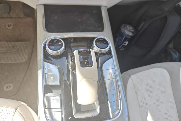 Used Cyberspace Tank 300 2021 2.0T Cyber Tank