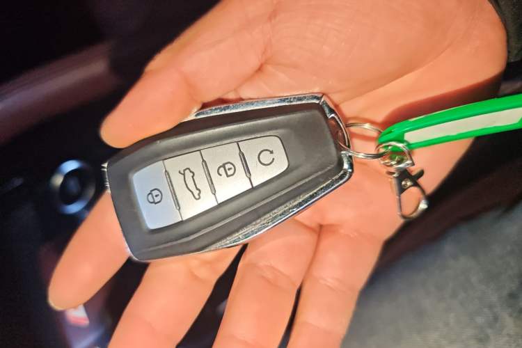 Used Geely Auto Monjaro L 2021 2.0TD DCT EVO Two-Wheel Drive Prestige Version