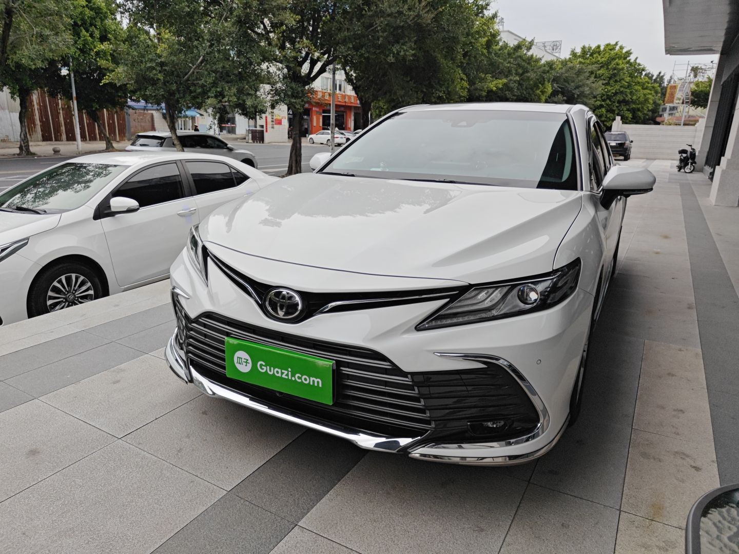 Parte inferior delantera