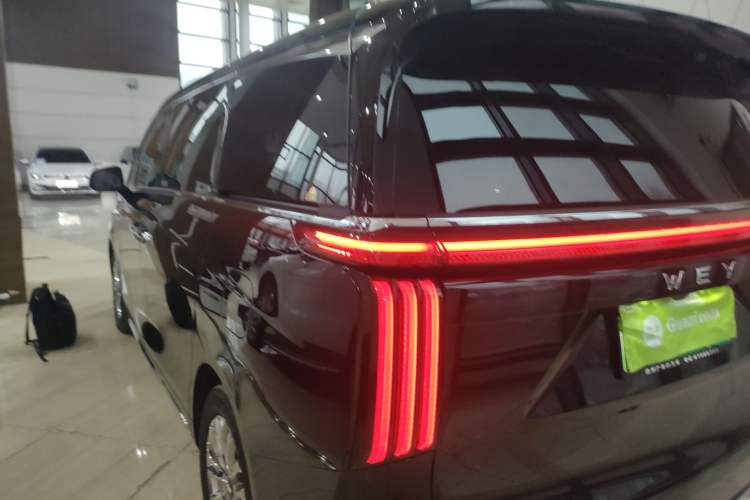 Used Wey Gaoshan 2023 Four-Wheel Drive Flagship Edition
