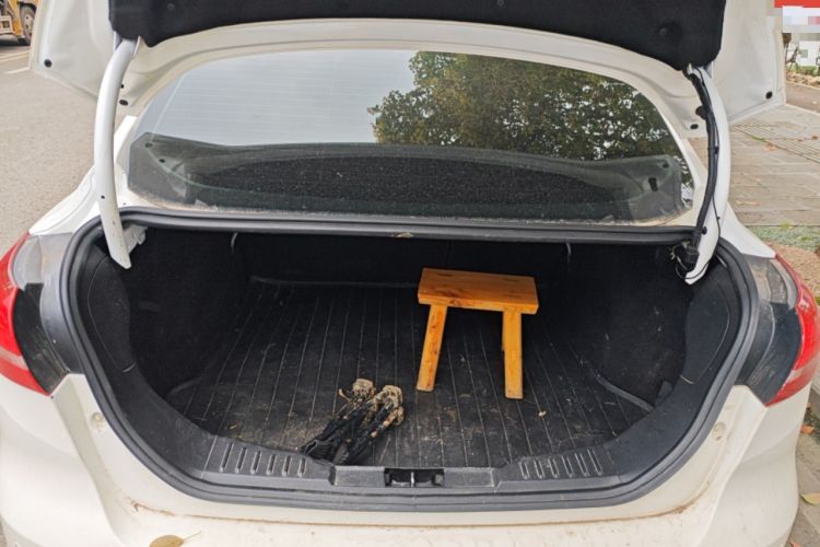 Used Ford Focus 2015 Sedan EcoBoost 180 Automatic Elite Model
