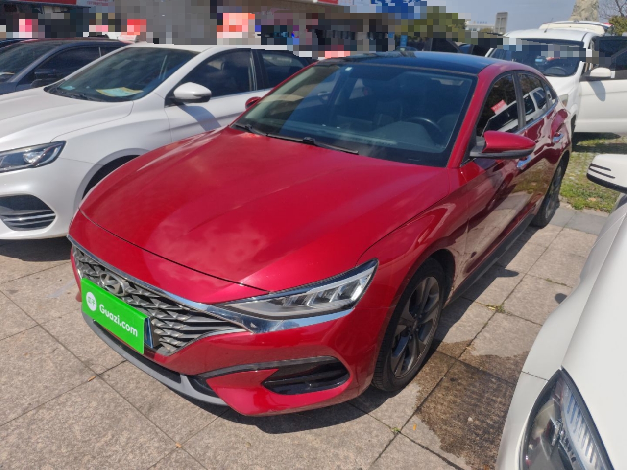 Parte inferior delantera