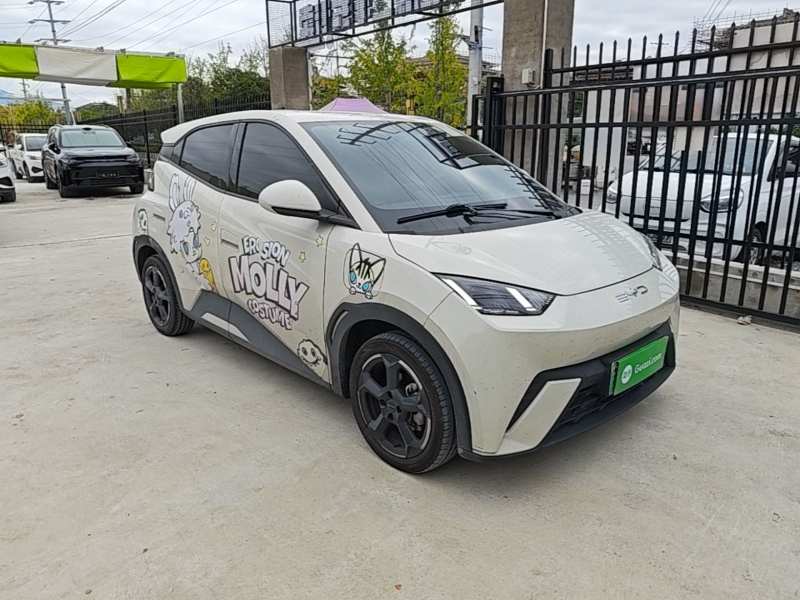 Used BYD Seagull 2023 Free Edition — 3