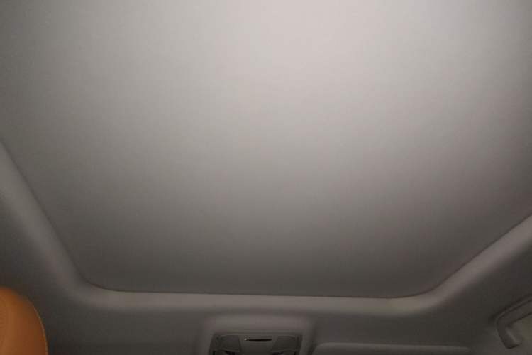 Used Haval H Dog 2023 2.0T All-Wheel-Drive Chaoye Plus Headliner