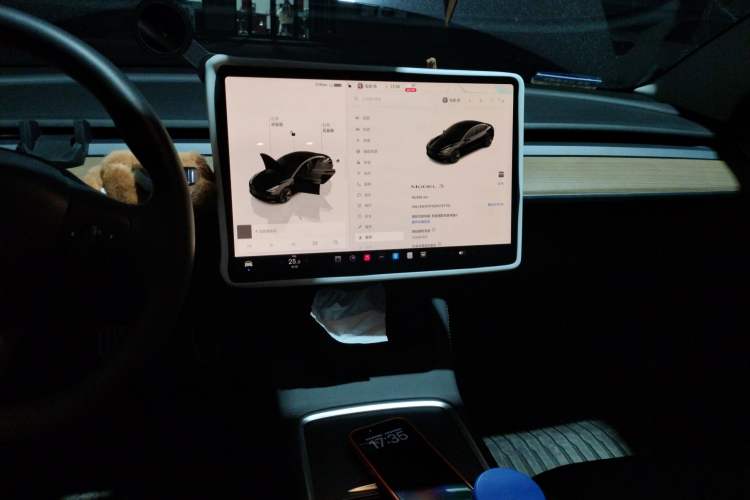 Used Tesla Model 3 2022 Rear-Wheel-Drive Version
