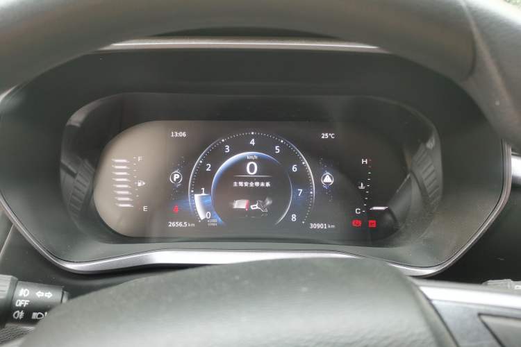 Used FORTHING T5L 2020 1.5T Automatic Luxury Model 5 Seats China VI Standard
