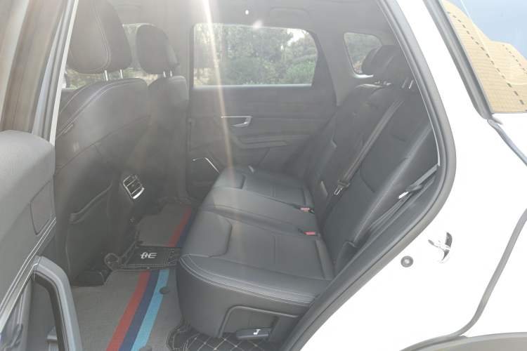 Used BYD Song Pro 2019 1.5T Automatic Luxury Model Left Rear Seat