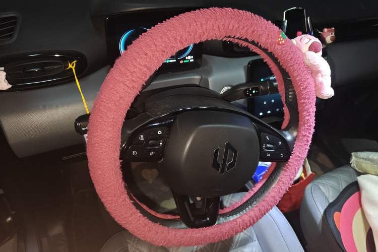 Used Leapmotor T03 2021 400 Luxury Edition
