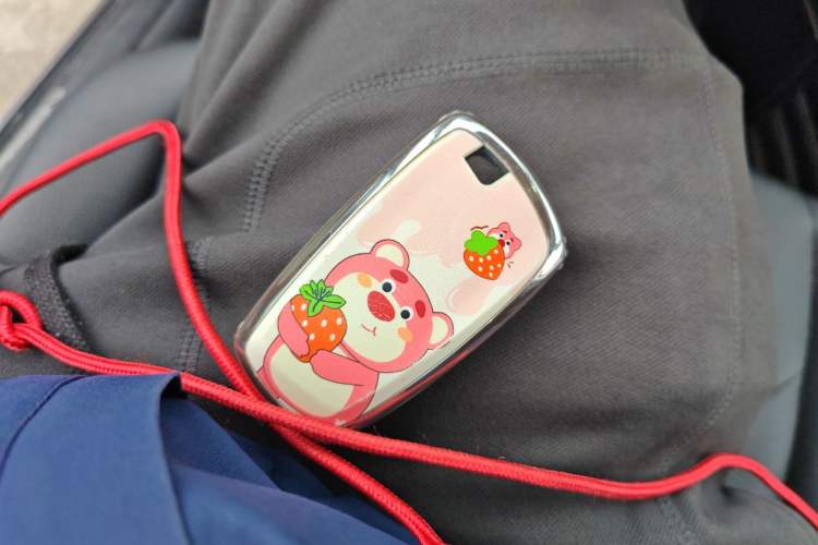 Used BMW 3 Series 2015 320Li Luxury Edition Fashion Model Vehicle Key