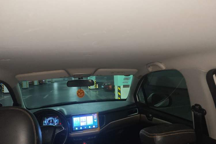 Used NETA N01 2019 380i Headliner