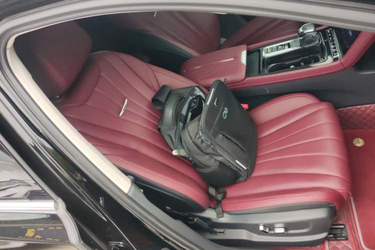 Used Hongqi H5 2024 2.0T Automatic Smart Connect Flagship Edition Right Front Seat