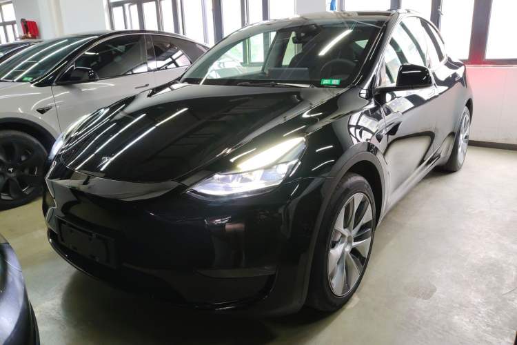 Used Tesla Model Y 2021 Standard Range Rear-Wheel Drive Version
