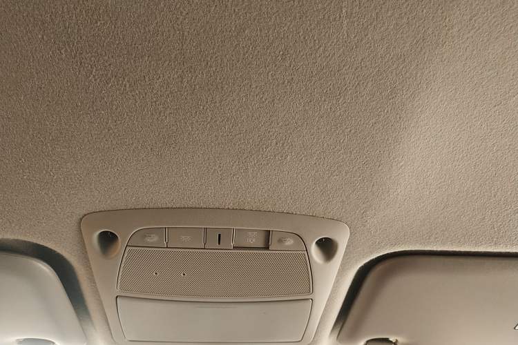 Used Dongfeng Ruichi 6 2020 EV model