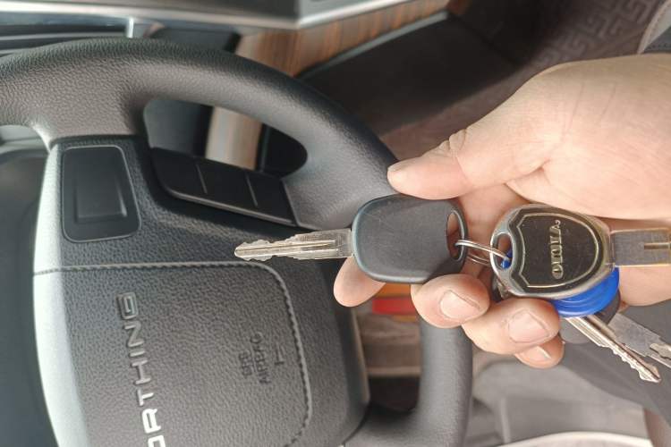 Used FORTHING Lingzhi PLUS 2021 2.0L Manual Standard Version CNG 7 Seats
