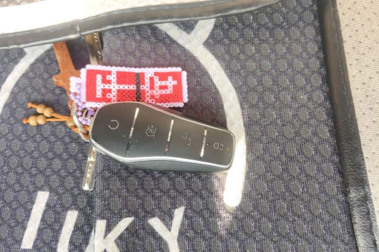 Used BYD Qin PLUS 2023 Champion Edition DM-i 55KM Leading Model