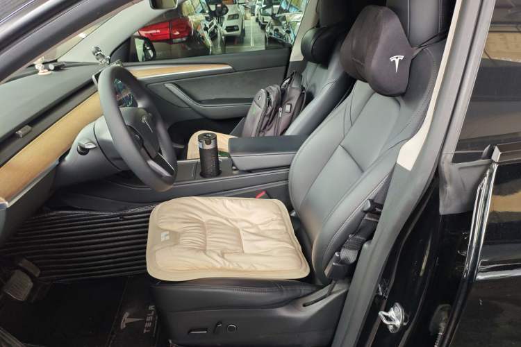 Used Tesla Model Y 2021 Standard Range Rear-Wheel Drive Version
