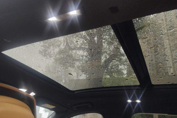 Used Lynk & Co 09 EM-P 2023 2.0TD EM-P Four-Wheel Drive Asian Games Executive Edition Five Seats