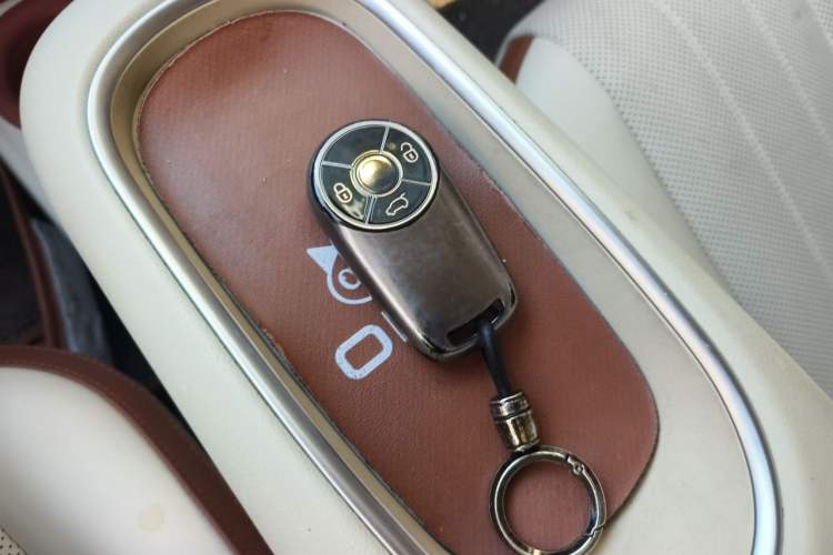 Used ORA Good Cat 2023 401 km Standard Range Premium Trim Ternary Lithium Vehicle Key