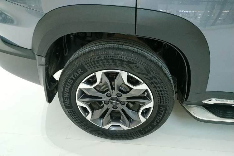 Used Haval DARGO 2022 2.0T DCT 4x4 Chinese Rural Dog Edition
