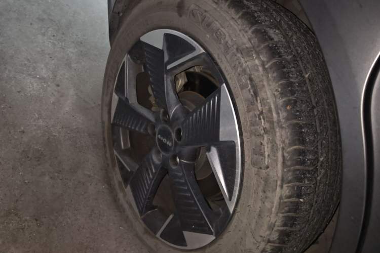 Used AION Y 2022 70 Enjoyment Edition Lithium Iron Phosphate
